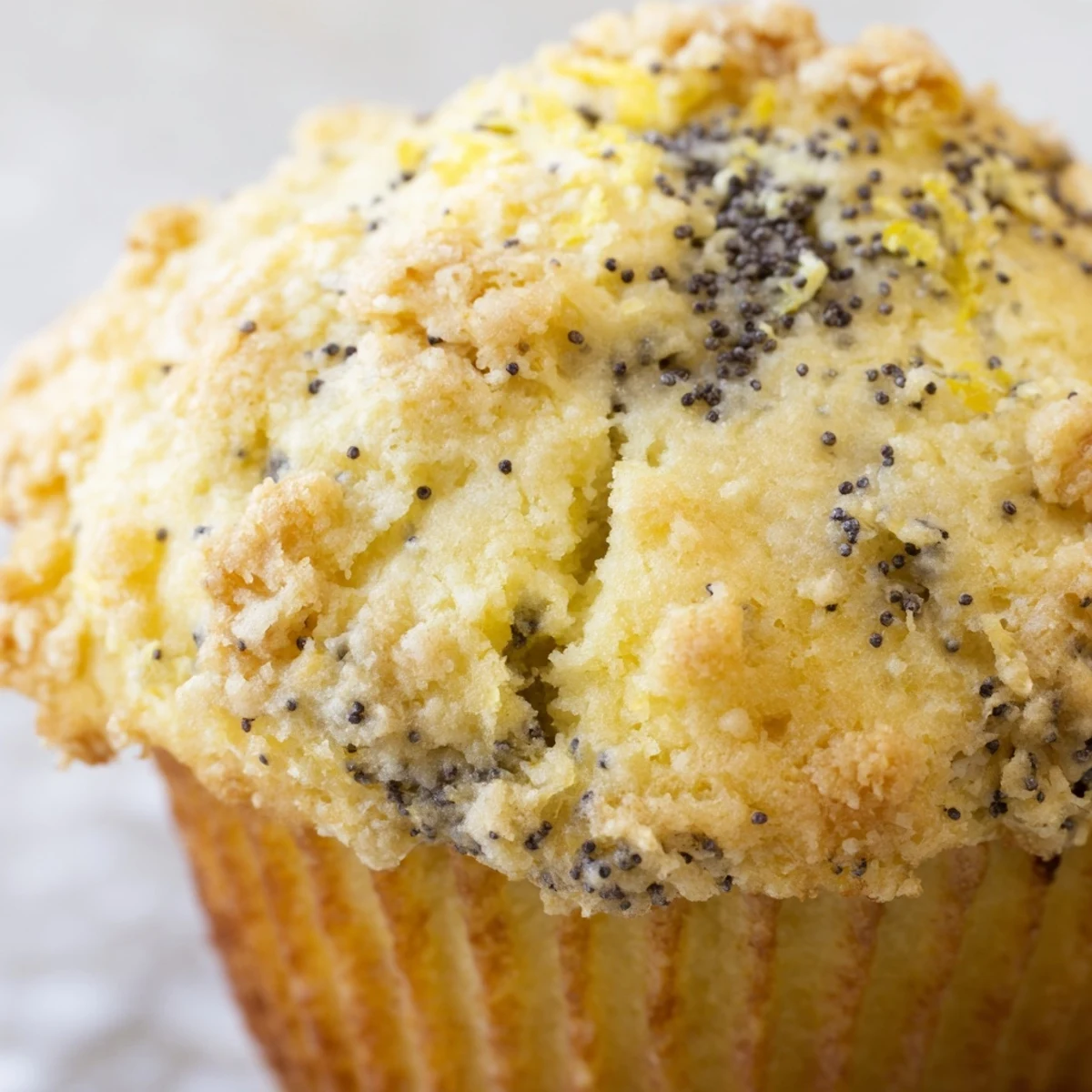 Moist lemon poppy seed muffins speckled with zest served warm on a rustic ceramic plate